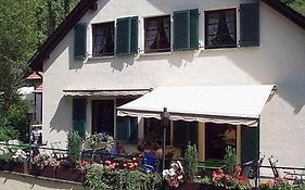 Landhotel Niederthäler Hof  3*